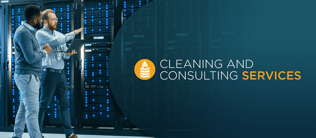 cleaning and consulting services